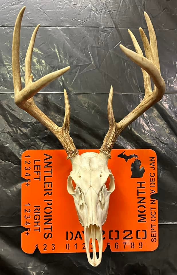 Dnr Deer Tags